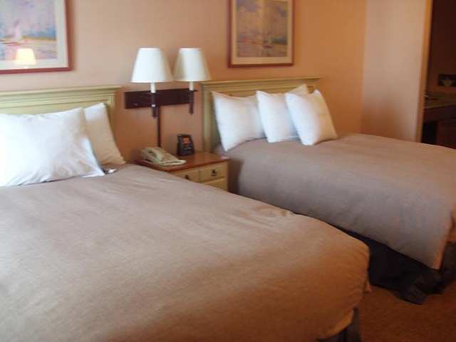 Homewood Suites By Hilton St. Petersburg Κλιαργουότερ Δωμάτιο φωτογραφία